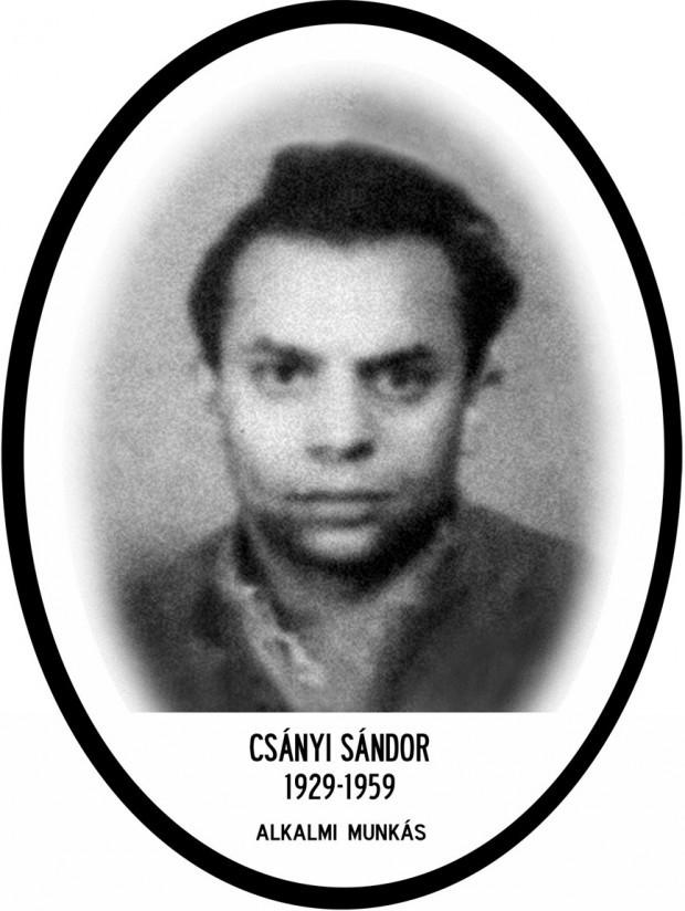 Csányi Sándor