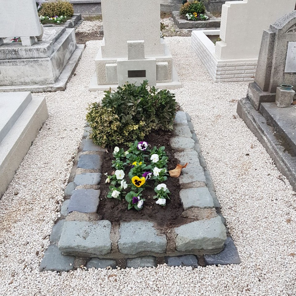 Csőke István