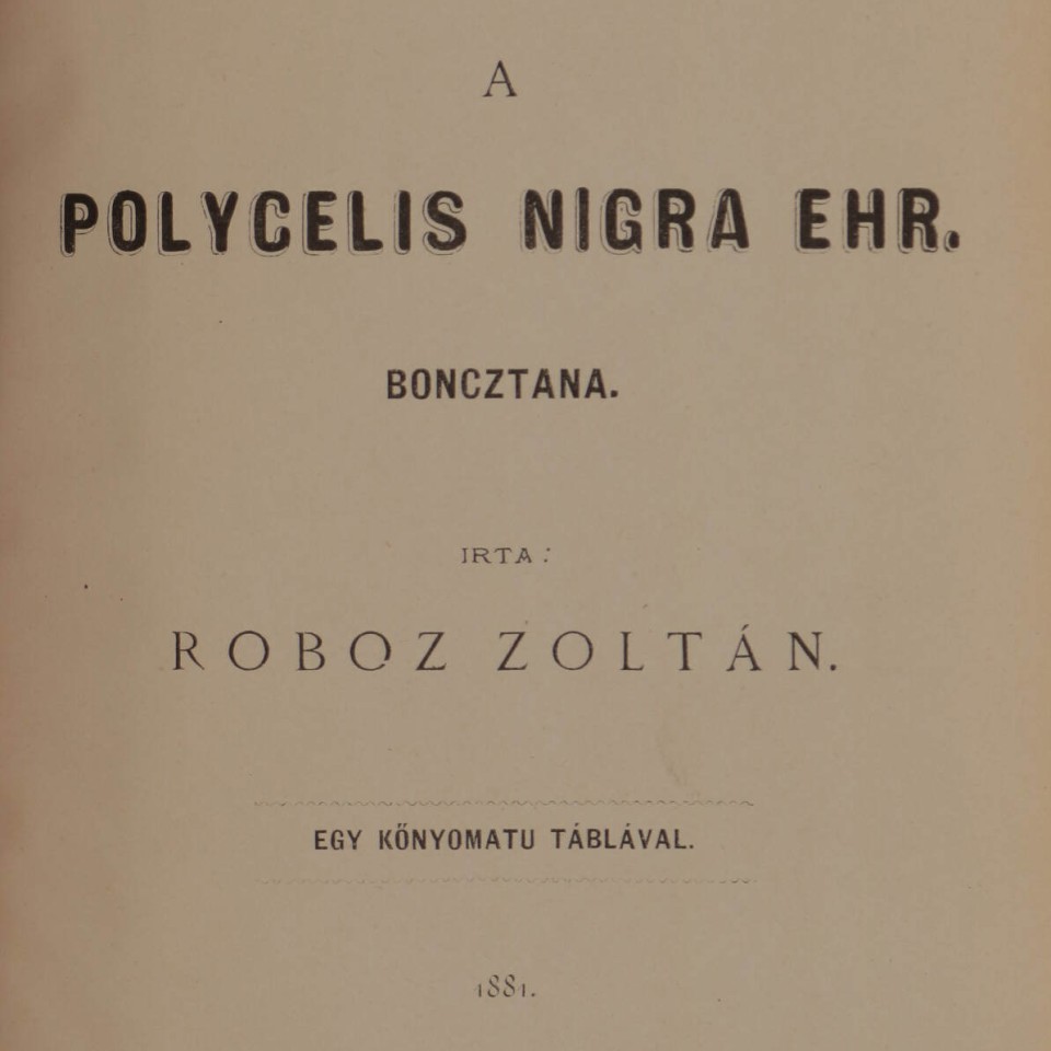 Roboz Zoltán