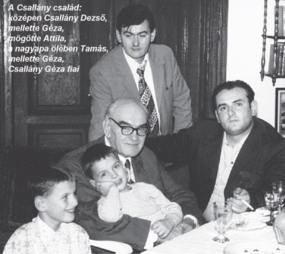 Csallány Dezső