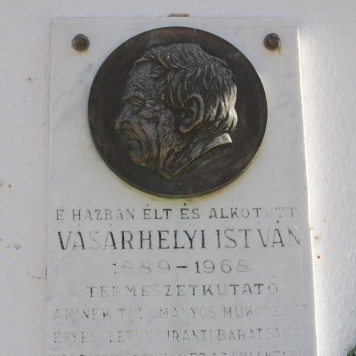 Vásárhelyi István