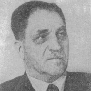 Gyulai Zoltán, árkosi